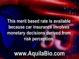 Budget Car Insurance – Making Driving Affordable