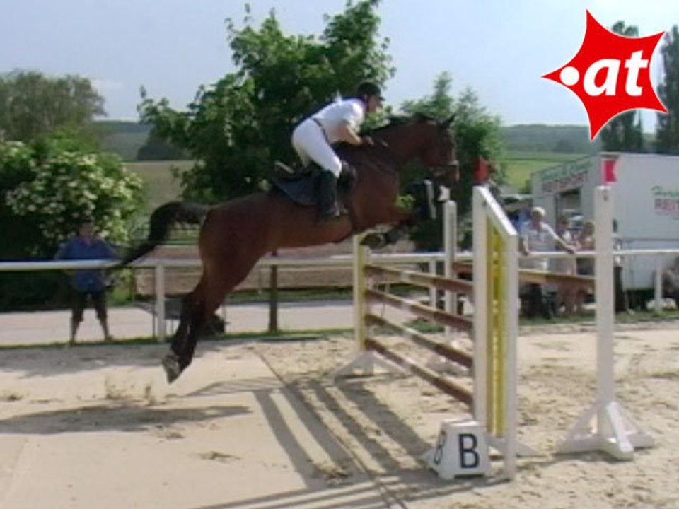 Andreas Christian Salusek, Springreiten, Laab (2008-107)