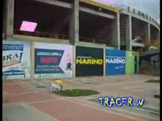 Arte del Desplazamiento pasto