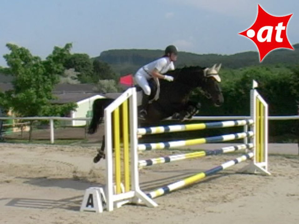 Barbara Festi, Springreiten, Laab im Walde (2008-109)