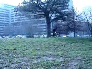 reynerie Les mec de bischope