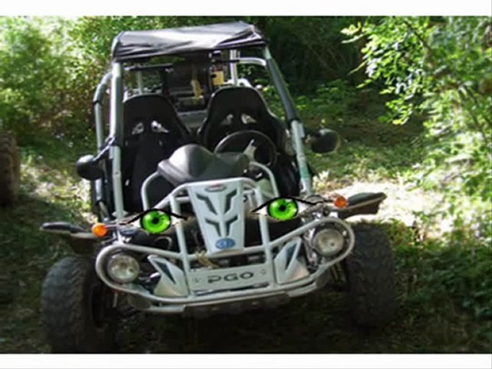 buggy parlant