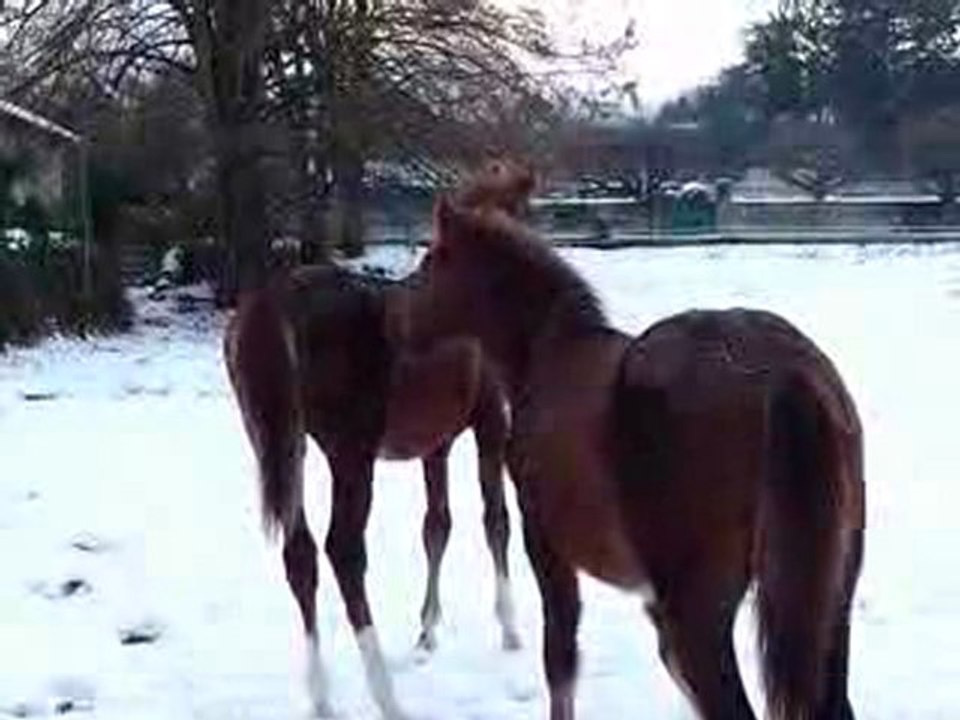 Le bébés dans la neige