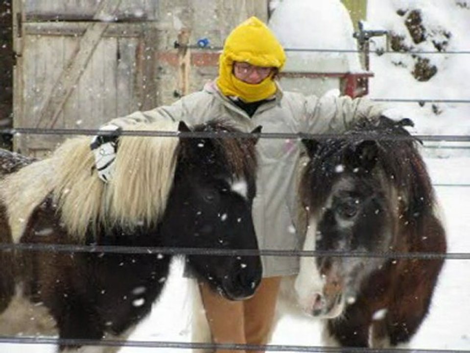 sous la neige le 19 12 2009