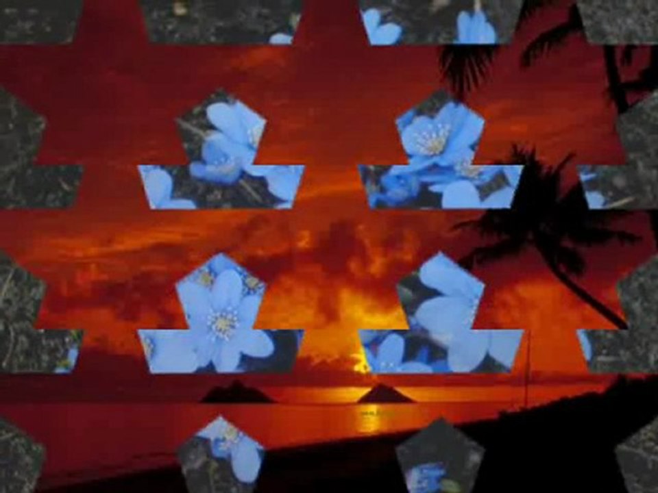 Film İnsan kısım Kısım yer Damanr Damar Zeynep Karababa