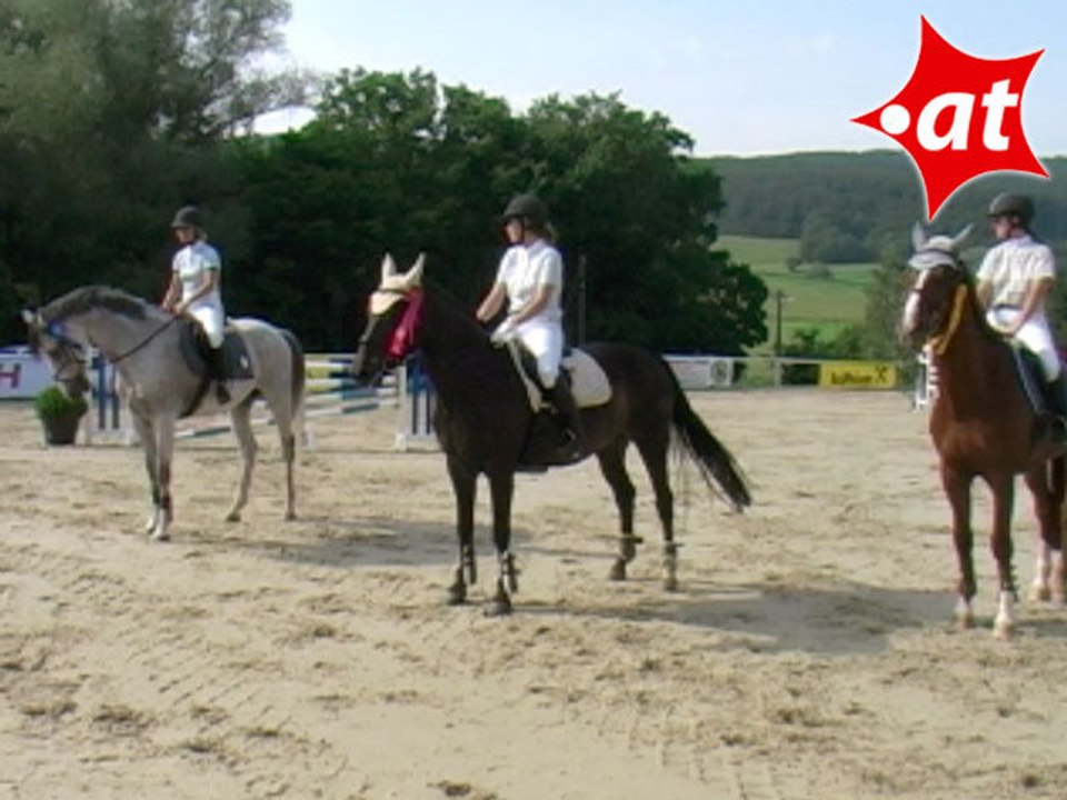 Springreiten, Stechen LM-Springen, Laab im Walde (2008-113)