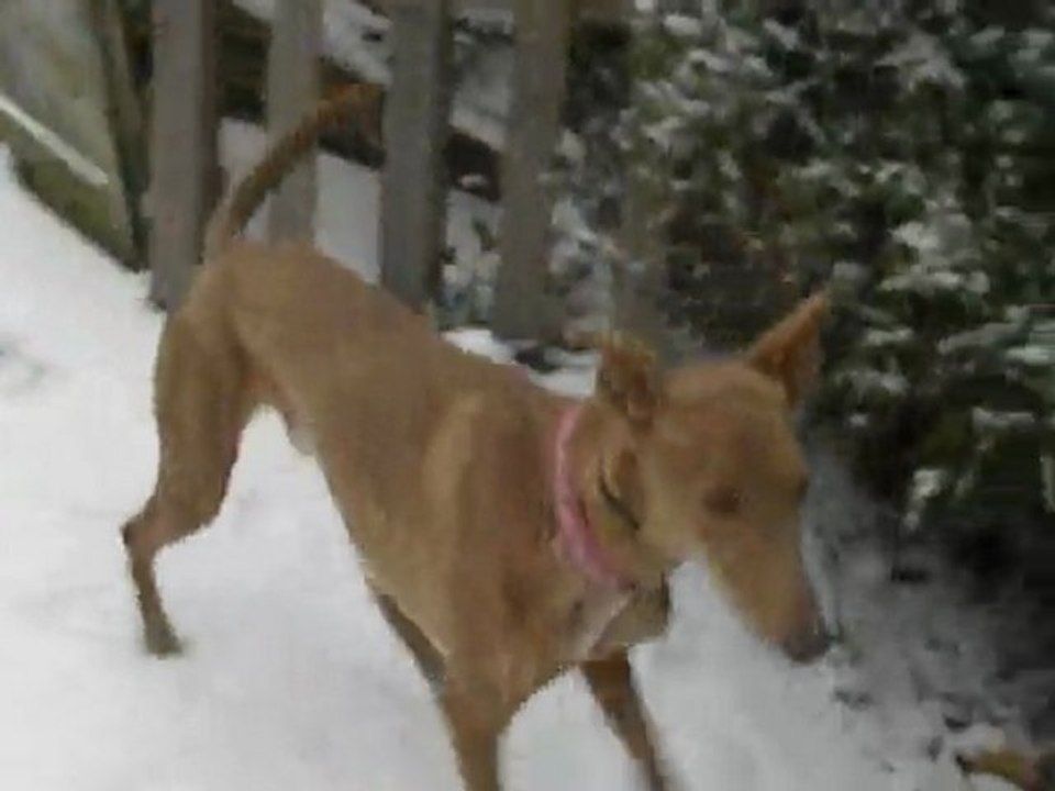 C'est l'éclate totale!