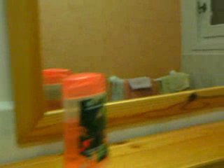 la chambre d'hote été 2009 a premery vienne