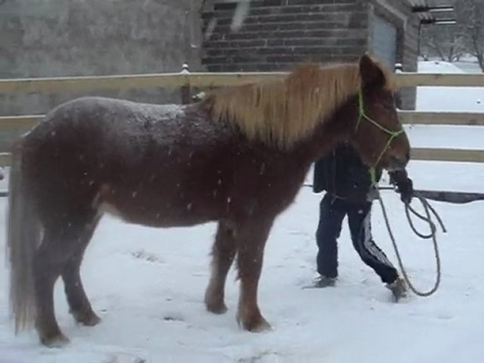 matur cocole neige 20dec2009