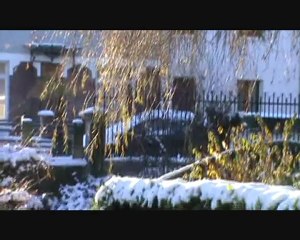 Horoscope de la semaine de noel par Judith Fricot