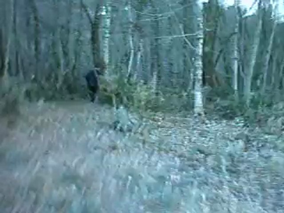 zoréol12-12-2009 011
