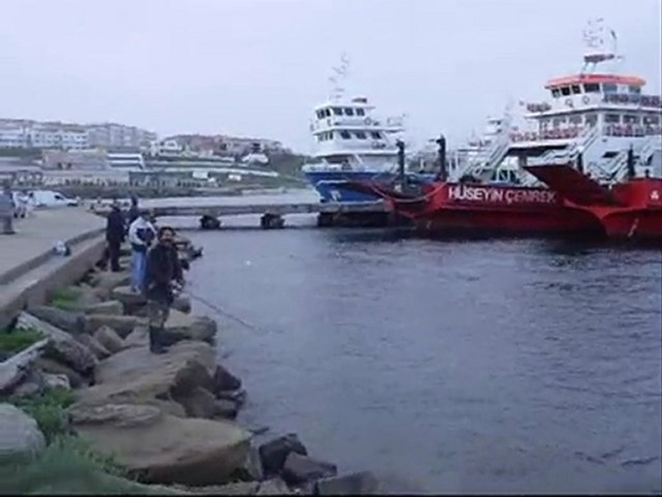 ÇİNEKOP AVI