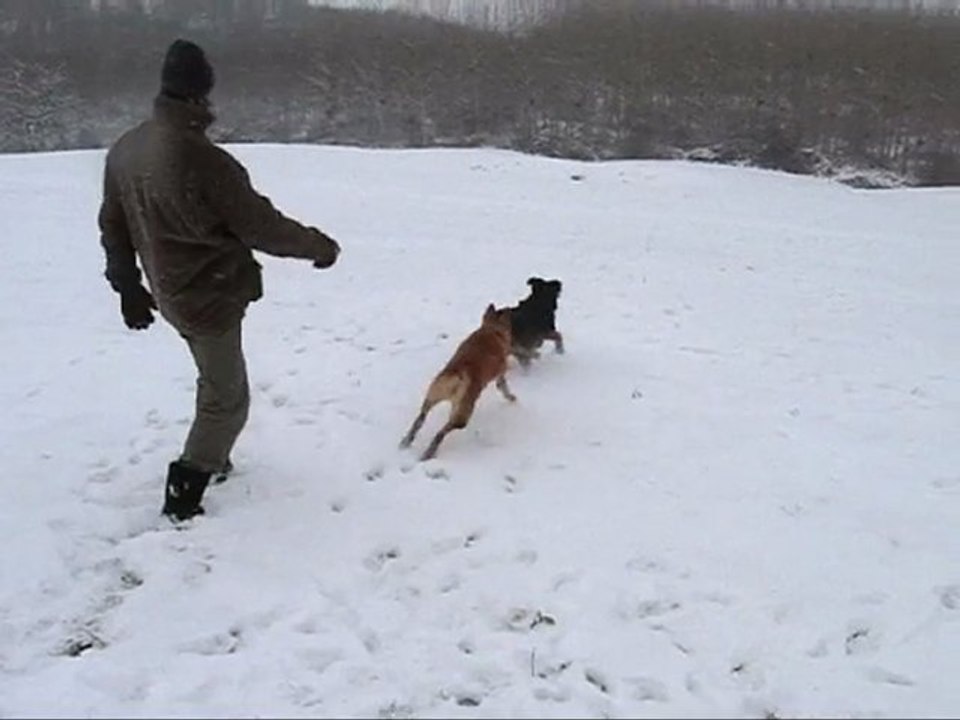 Elite Fanny Zyon 20 12 09