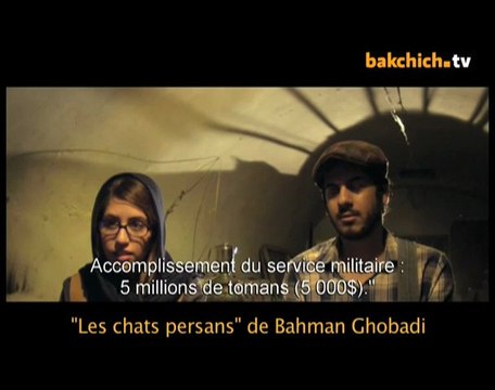 Les chats Persans (extrait)