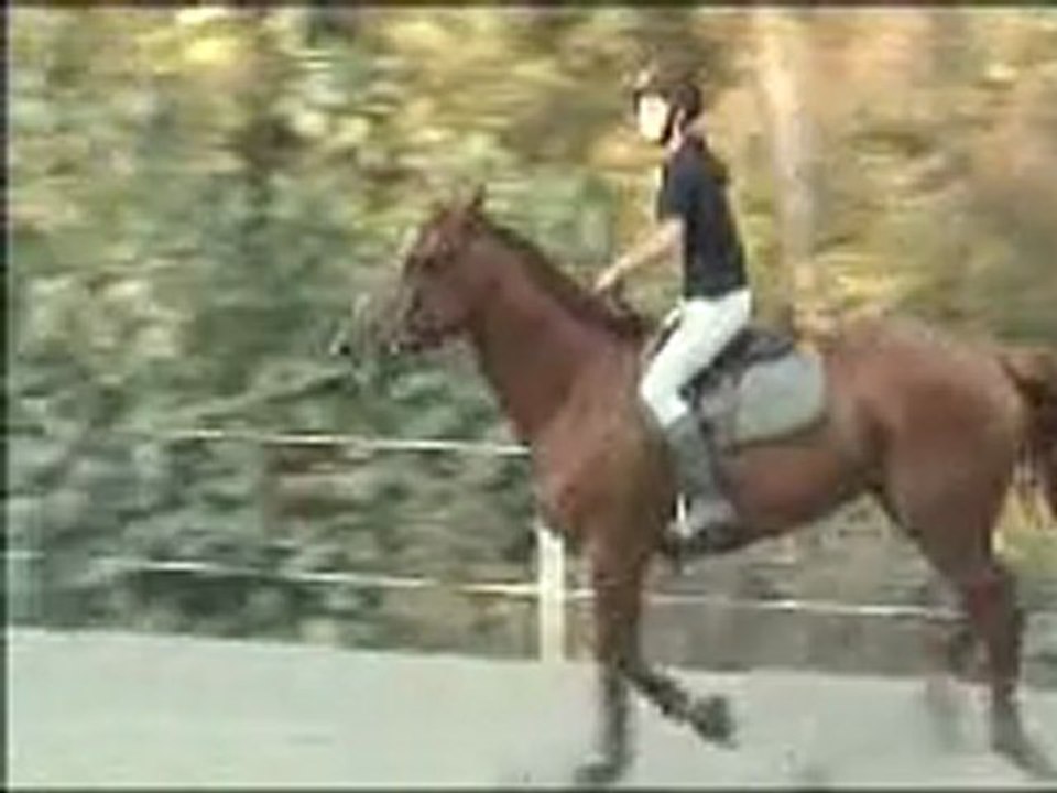 Noble Aout 2009