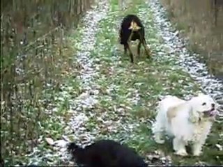 ballade 20 12 2009 avec les copines