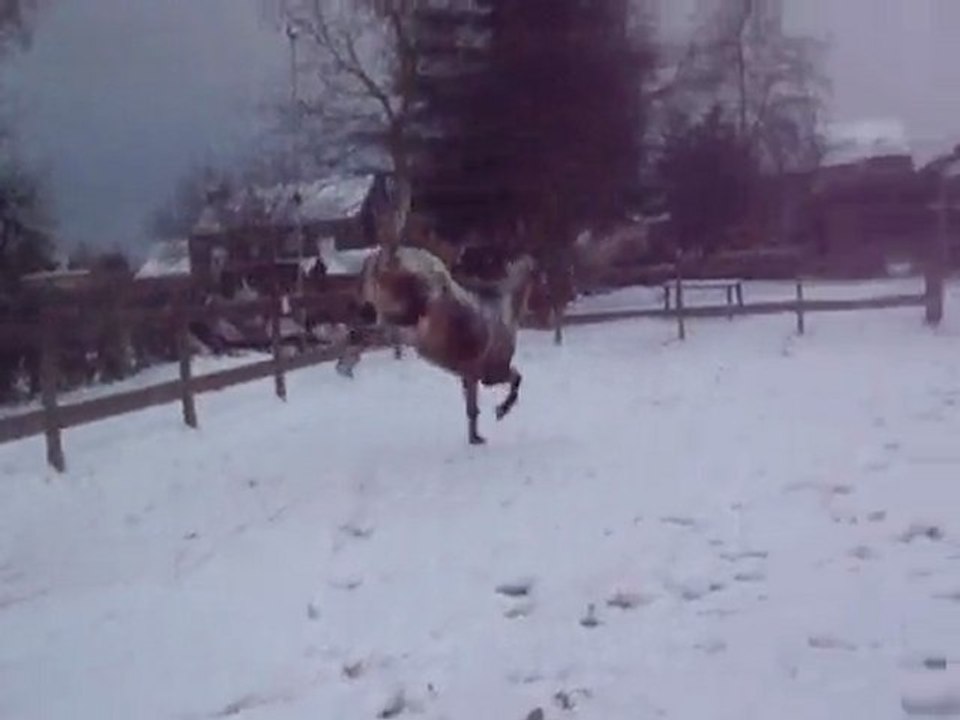 DSCF1571