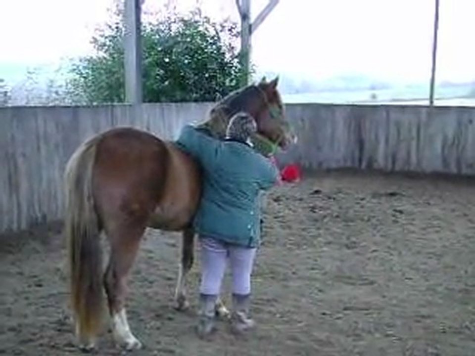 MOV03487