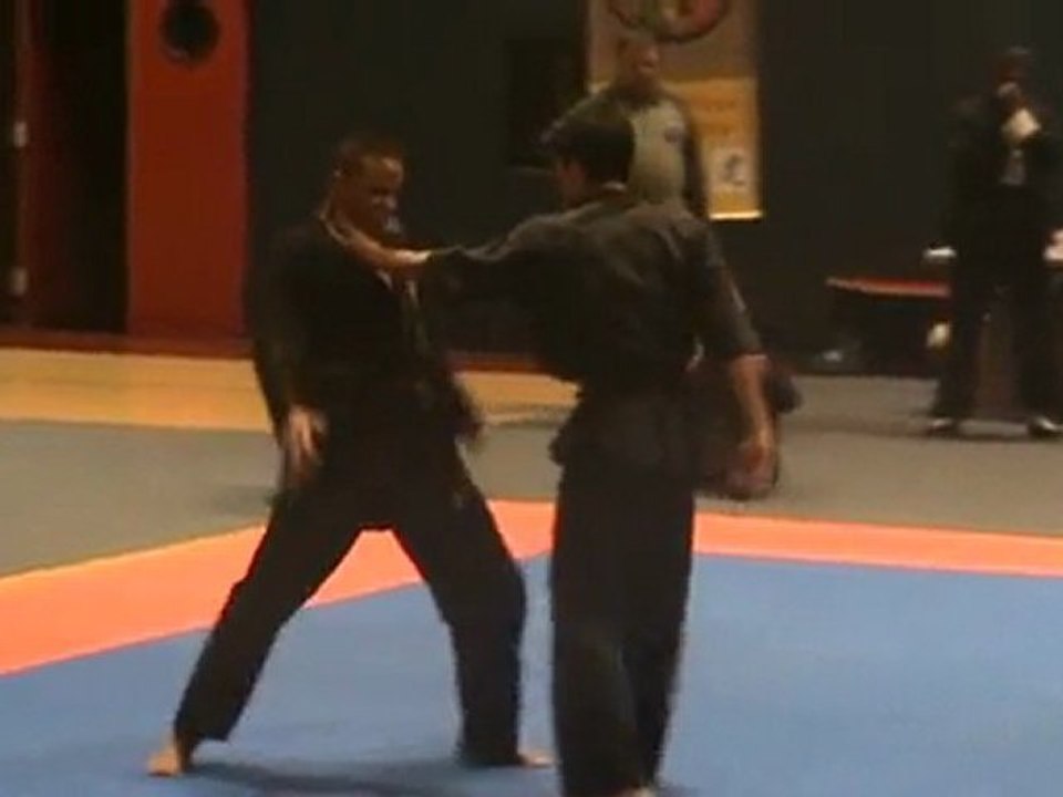 championnat régional 2009 viet vo dao