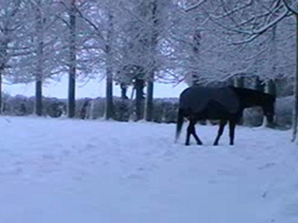 sirocco et la neige 2