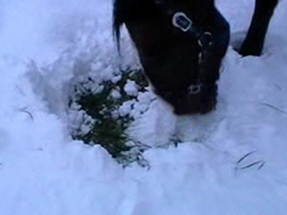 sirocco et la neige 3