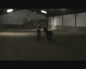 L'étrange Noel de Nifferland, partie 1/2