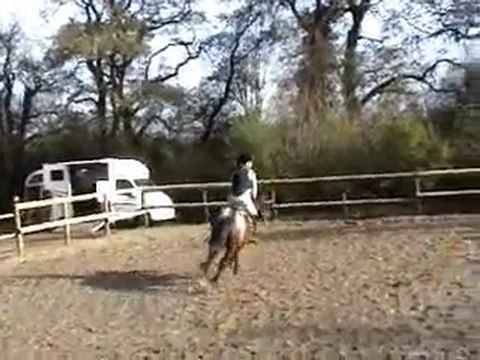 concours CSO 22 11 2009