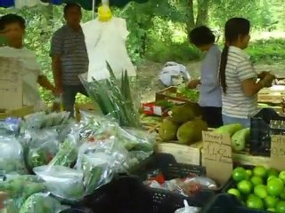 mini marché asiatique méribel mékong lyon
