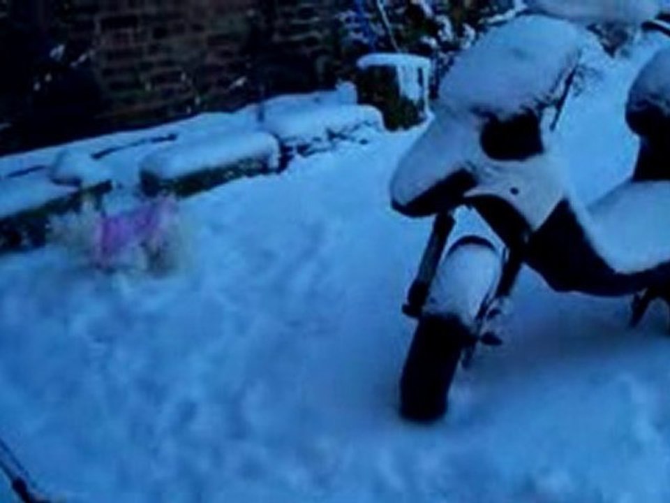 misty et dalco neige