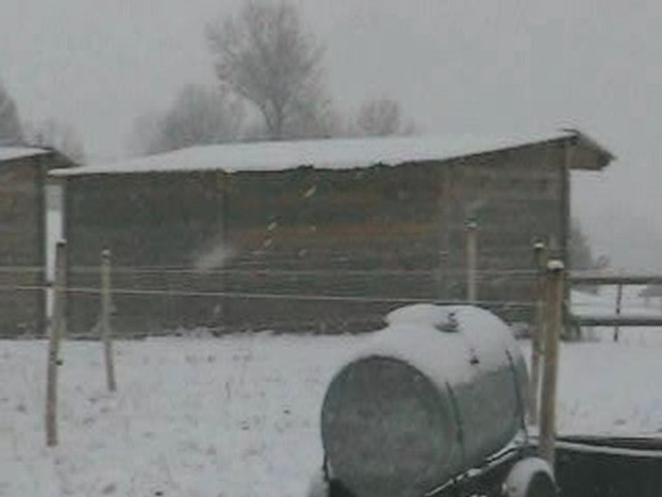 l'hiver