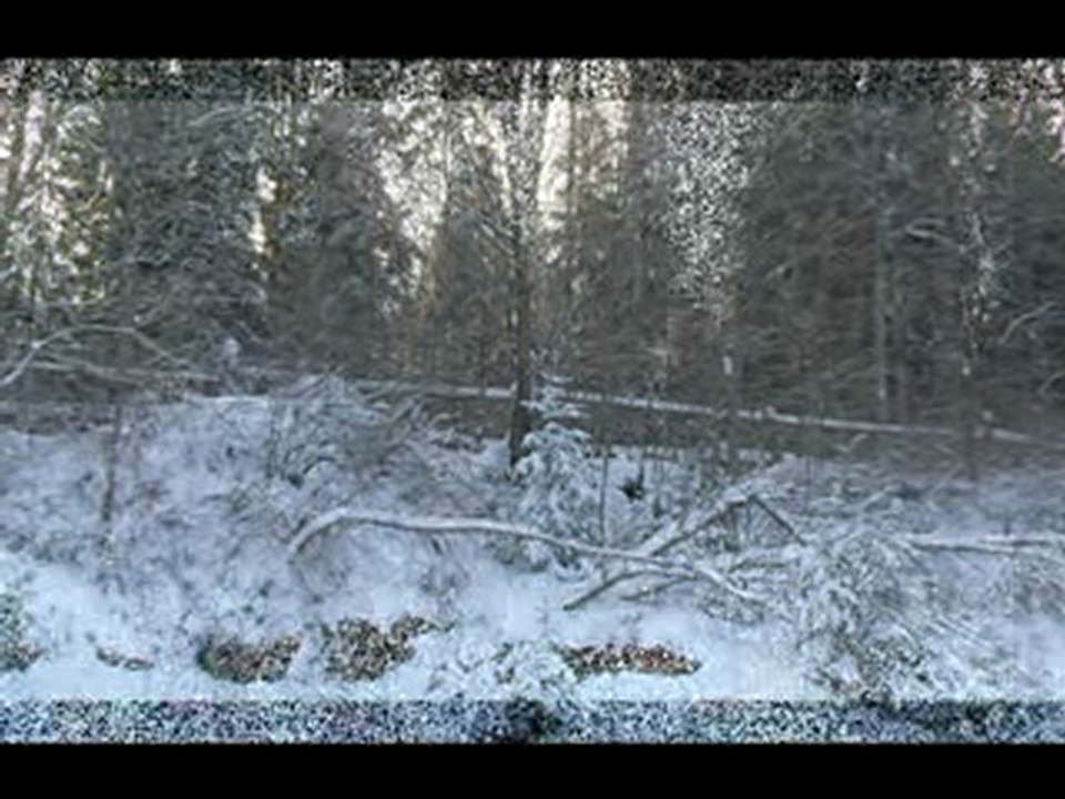 Puszcza Białowieska-Stara żwirownia