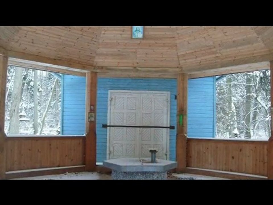 Puszcza Białowieska - Krynoczka cz.II