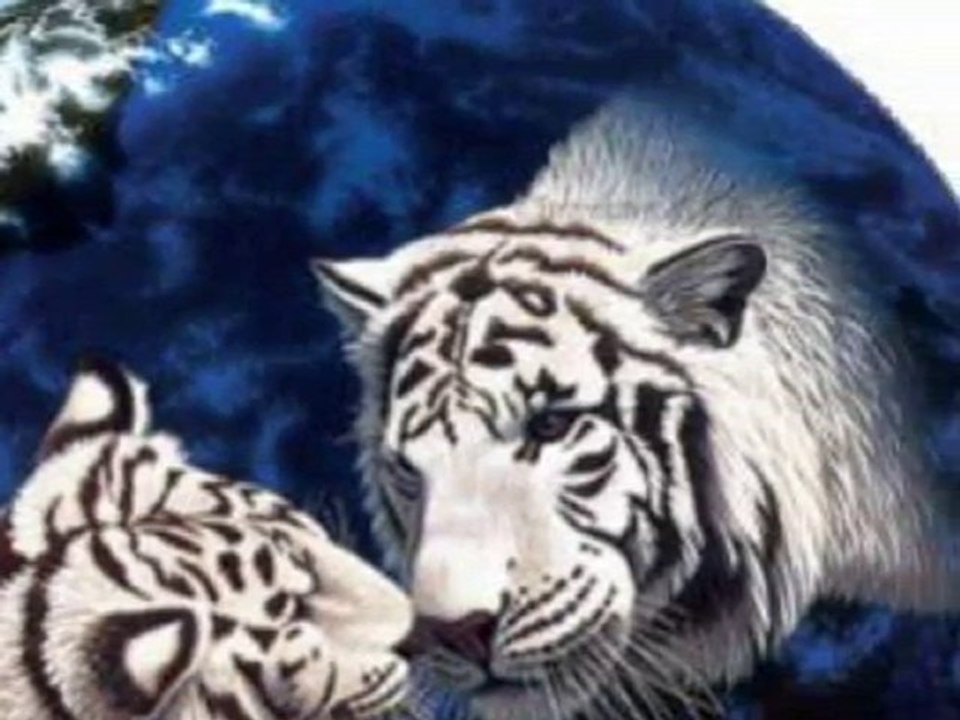 c est que du bonnheur