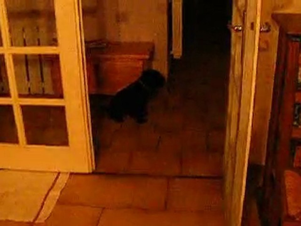 éole le premier jour à la maison