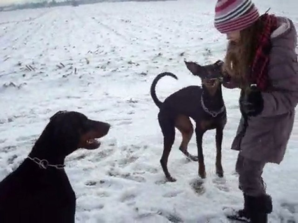 C'est chouette la neige