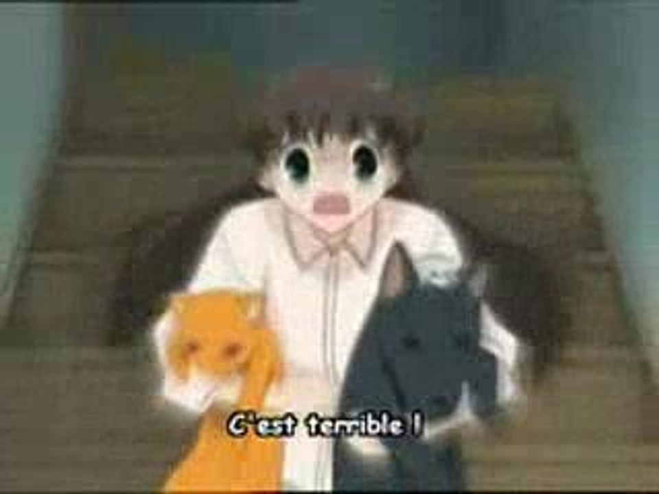Fruits Basket (2)