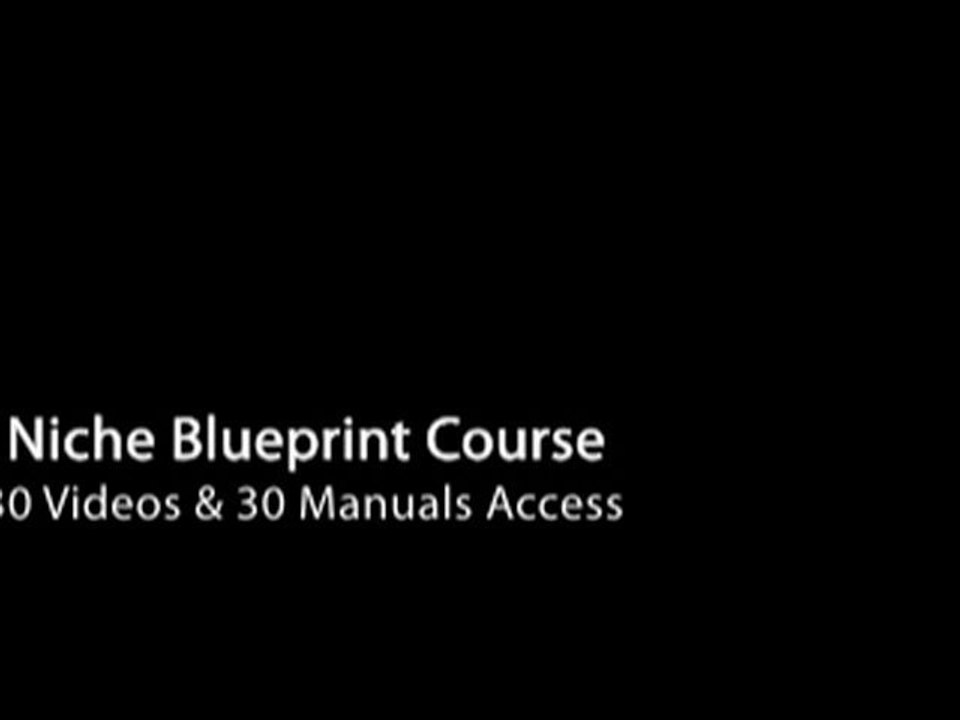 Niche Blueprint 2.0