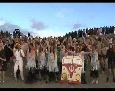Baignade des Otaries à Saint-Gildas de Rhuys