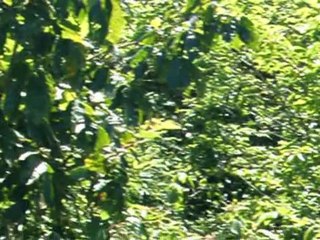 lancement ariane5 helios 2B