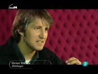 Mascotas: Un perro en casa