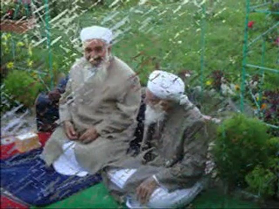 SAADAT SİLSİLESİ