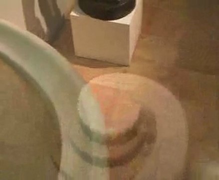 Etats des lieux (nouvelle visite dansée à deux voix)