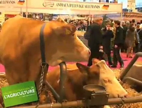 Sarkozy, stréssé par la cohue du salon de l`agriculture?