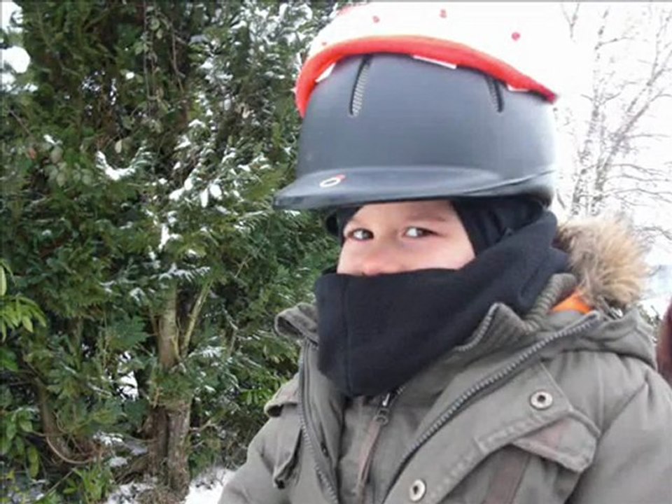 Poney dans la neige