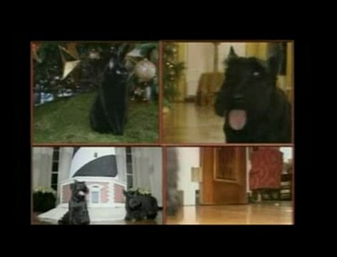 George Bush parle à son chien Barney pour Noël