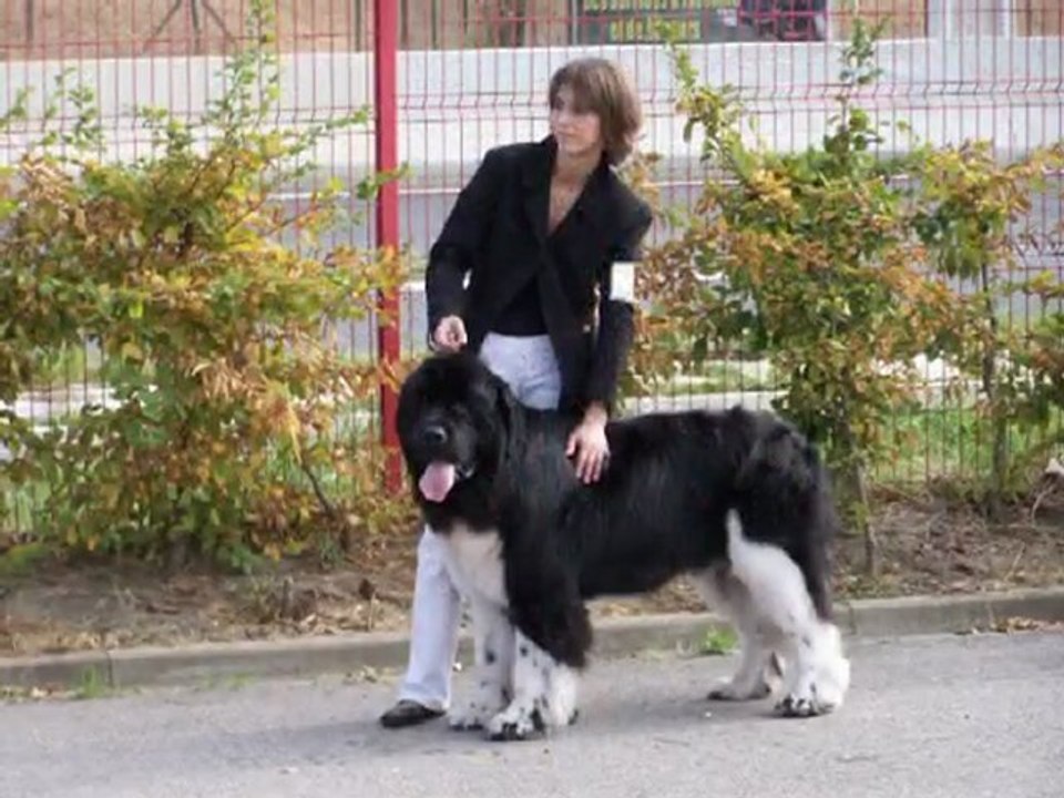 exposition Beauvais 2009
