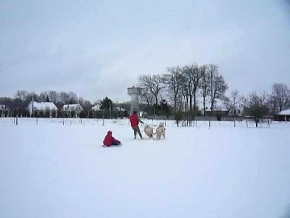 les petits tracte la luge