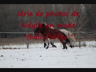 poney en délire