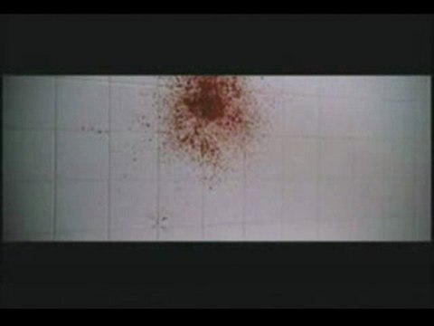 American beauty en 5 secondes... ou presque