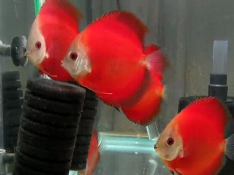 DSCN1202